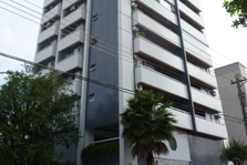 Projeto Orquídea